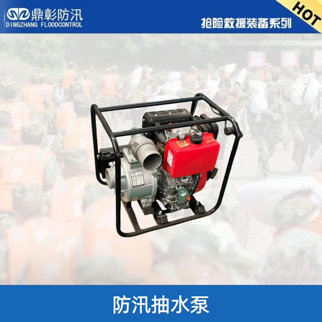 <strong>防汛抽水泵</strong>